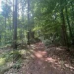 Wald & Wind Trifft Moderne Lejlighed Marburg