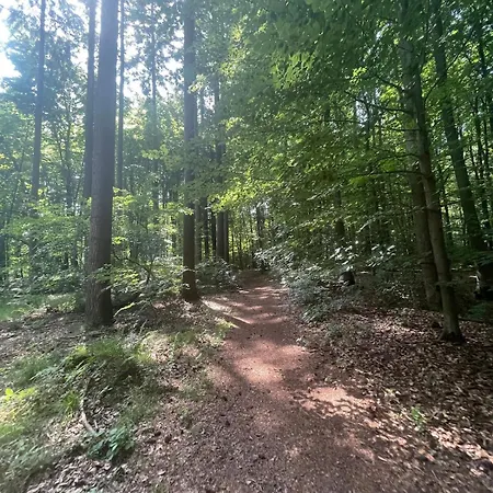Wald & Wind Trifft Moderne Apartmán Marburg