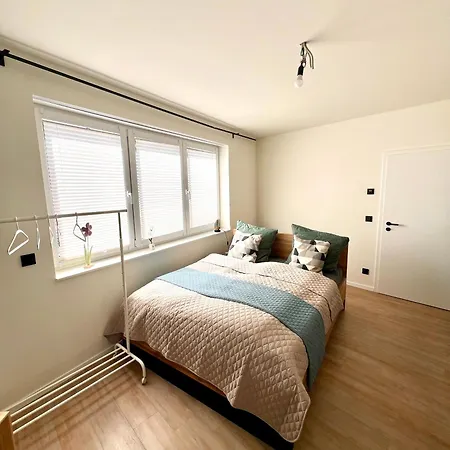 Wald & Wind Trifft Moderne * Marburg