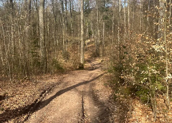 Wald & Wind Trifft Moderne 아파트