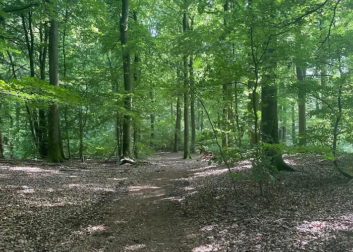 Wald & Wind Trifft Moderne 아파트