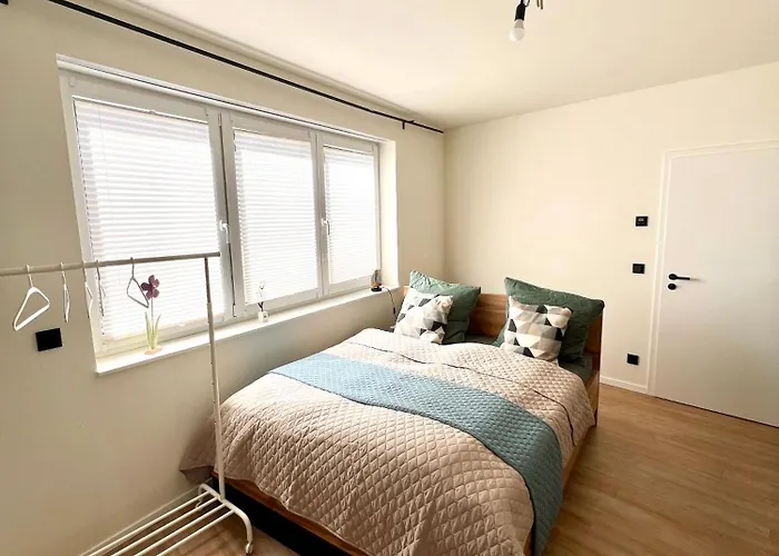 Wald & Wind Trifft Moderne * 마르부르크